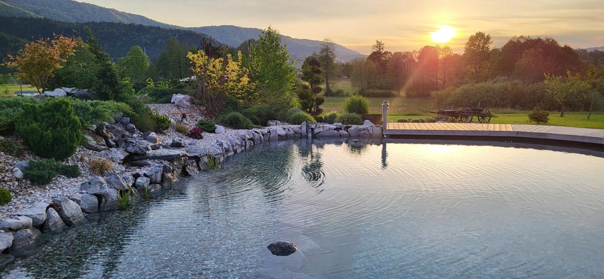 Glamping Happiness With Natural Pool Ribnica Eksteriør billede
